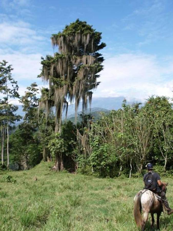Hacienda Monteclaro Hotel Turrialba Eksteriør billede