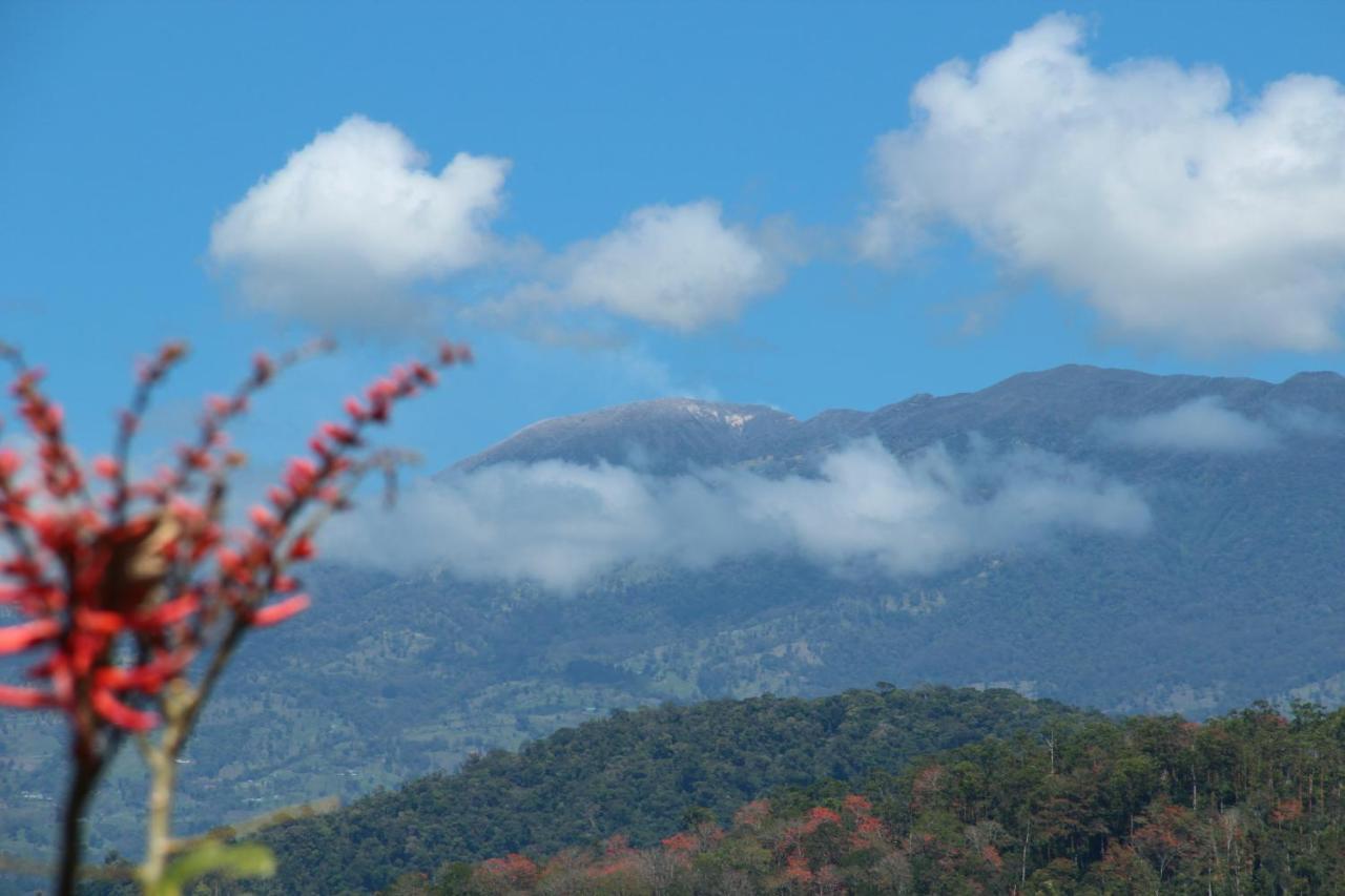 Hacienda Monteclaro Hotel Turrialba Værelse billede