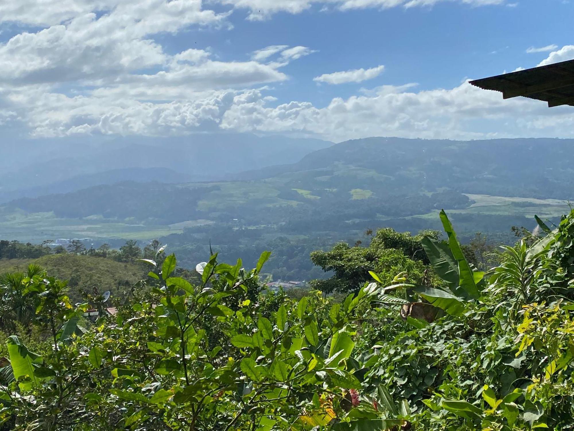 Hacienda Monteclaro Hotel Turrialba Eksteriør billede