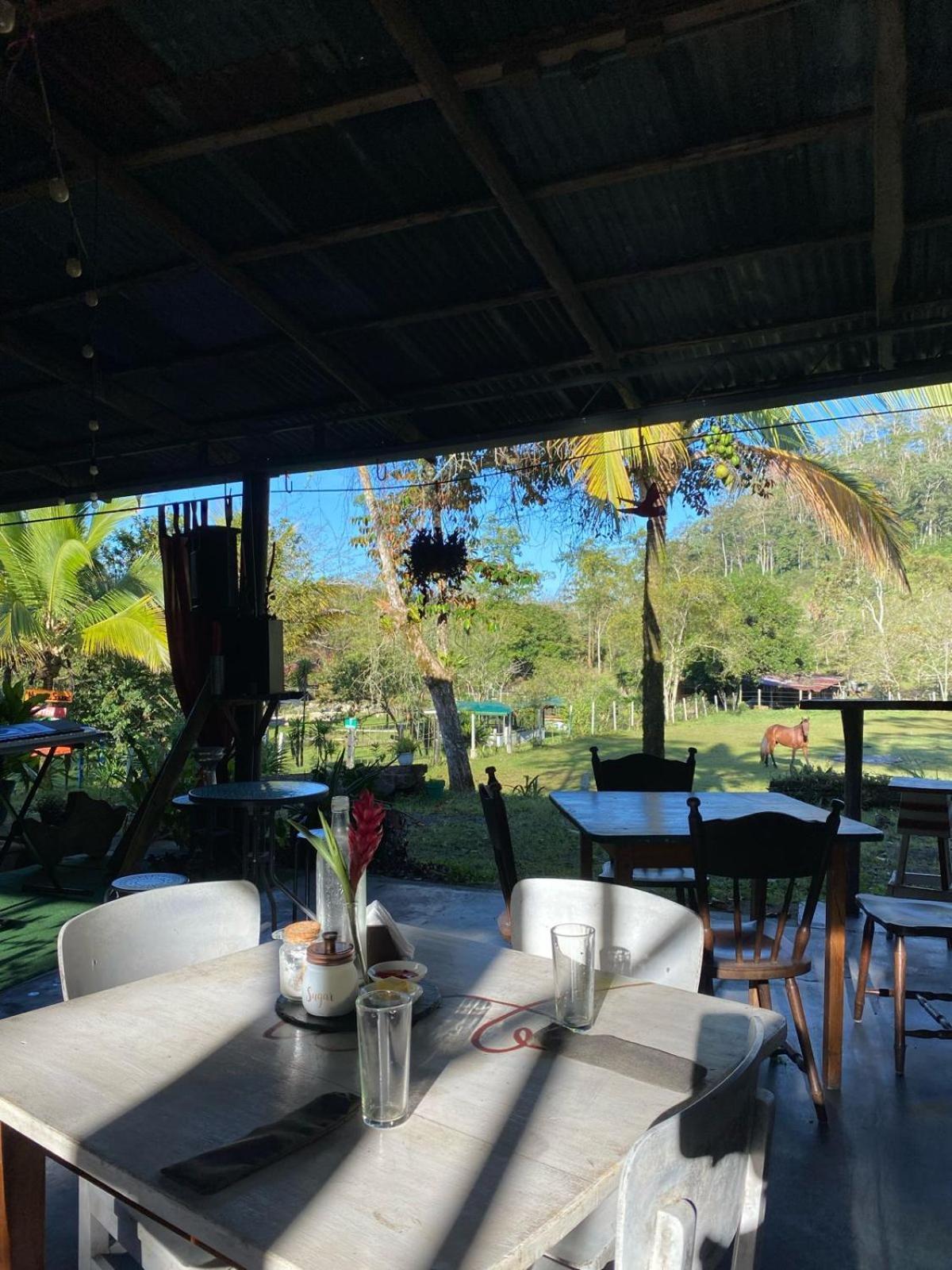 Hacienda Monteclaro Hotel Turrialba Eksteriør billede