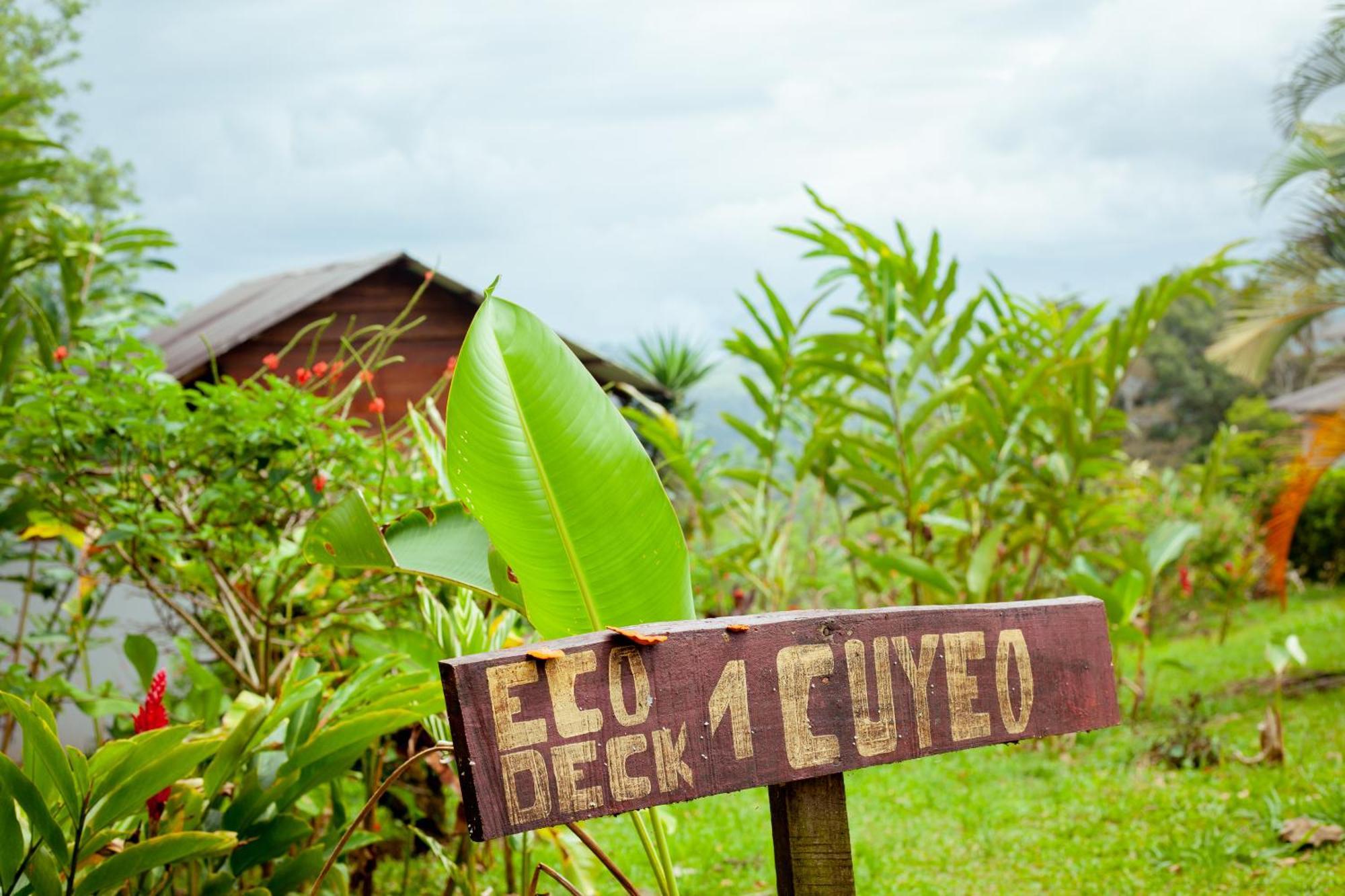 Hacienda Monteclaro Hotel Turrialba Eksteriør billede